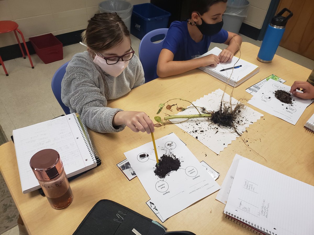 My students made observations of brand new potting soil and soil from one of the school garden beds. They compared &amp; contrasted the soil and made claims based on their observations. #jtsdnixa  #nixapublicschools #steamschool #Science