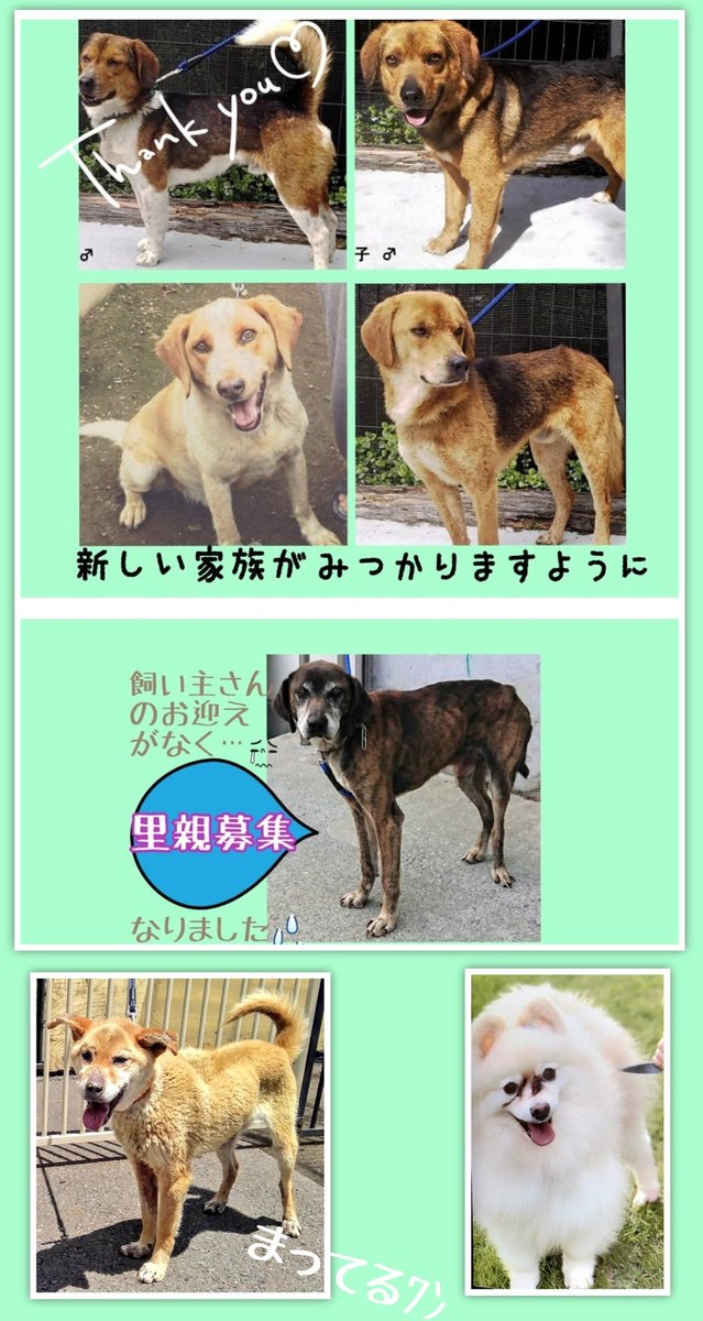佐久保健所 佐久保健所