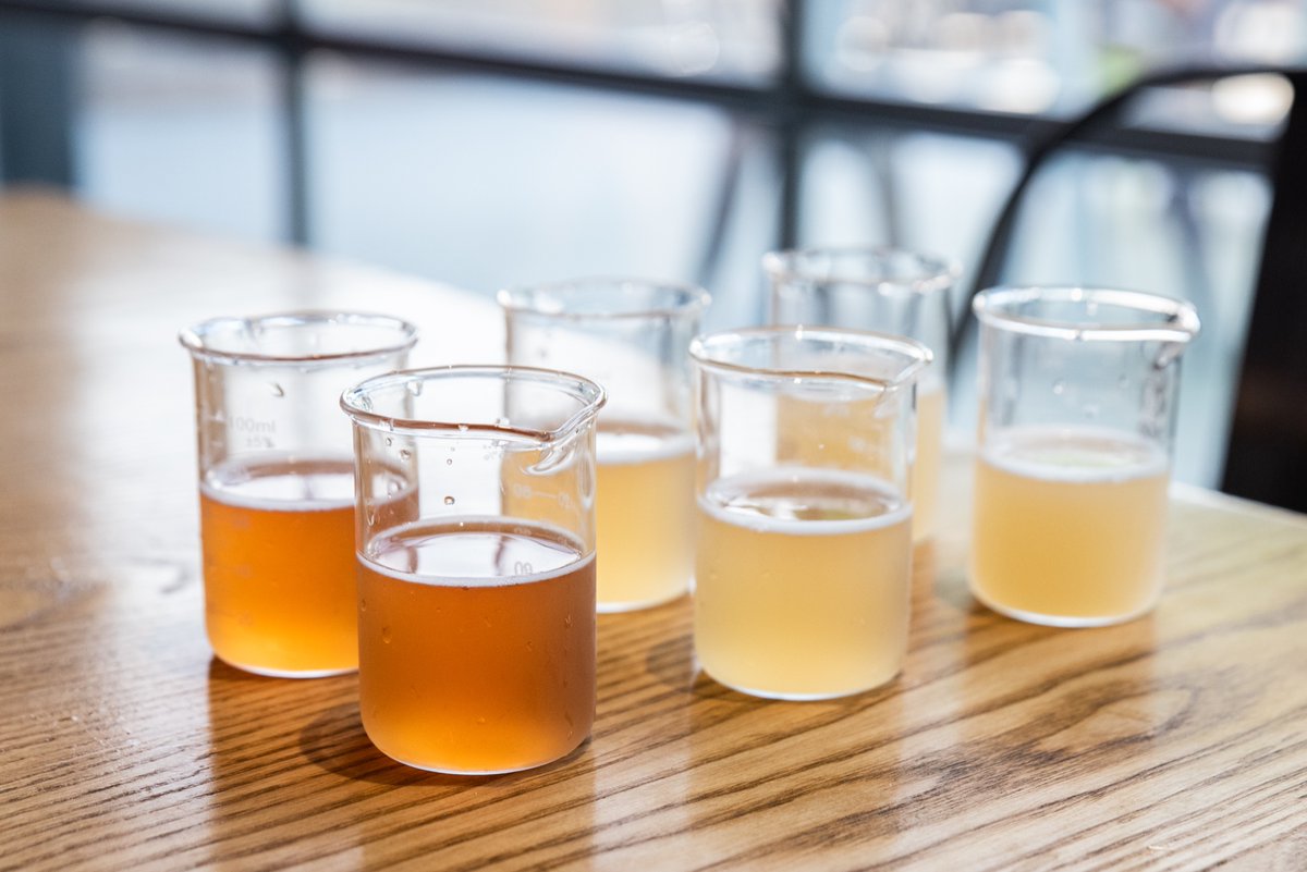 CollectiveTexas's tweet image. Very excited to be hanging at @TrueAnomalyBeer  today! Look at these colors! 😍😍😍 #supportlocal #houstonbeerrun #savetexasbreweries