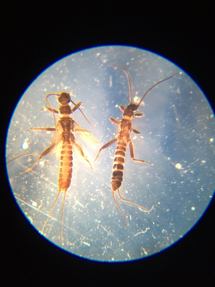 Craig Macadam tweet media