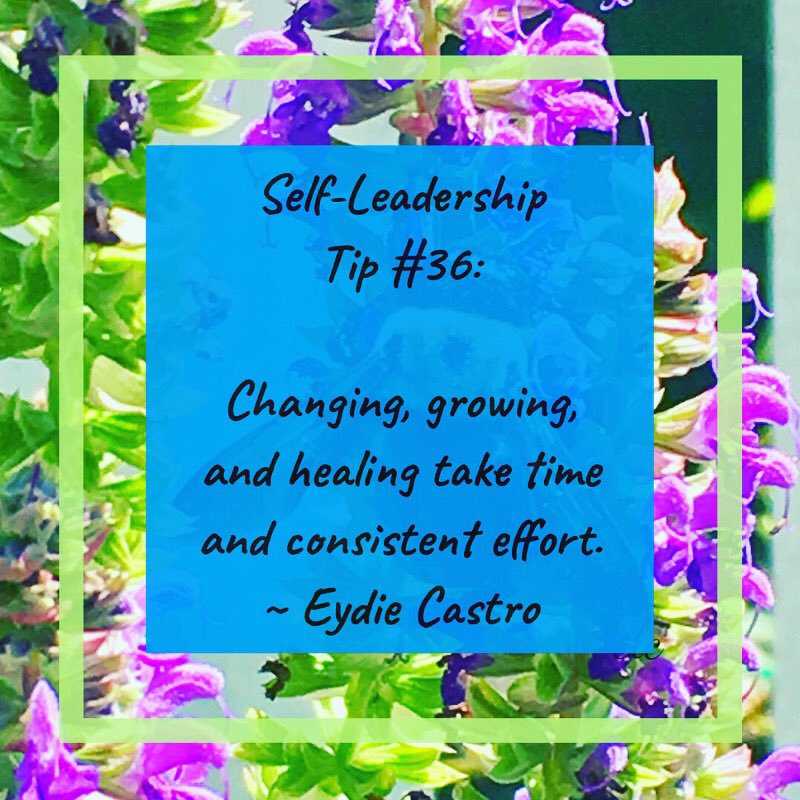 80Learning's tweet image. Someone with a #growthmindset , as Carol Deck explains, thrives on #challenge and sees failure as growth - they stretch based on existing skills. Are you changing to be happier and/or more successful? #successpsychology #personalgrowth #changemanagement