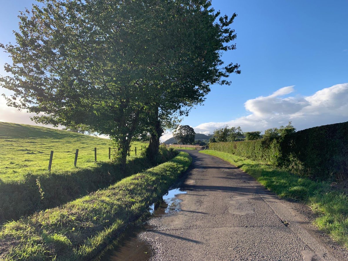 Quentin Sommerville tweet media