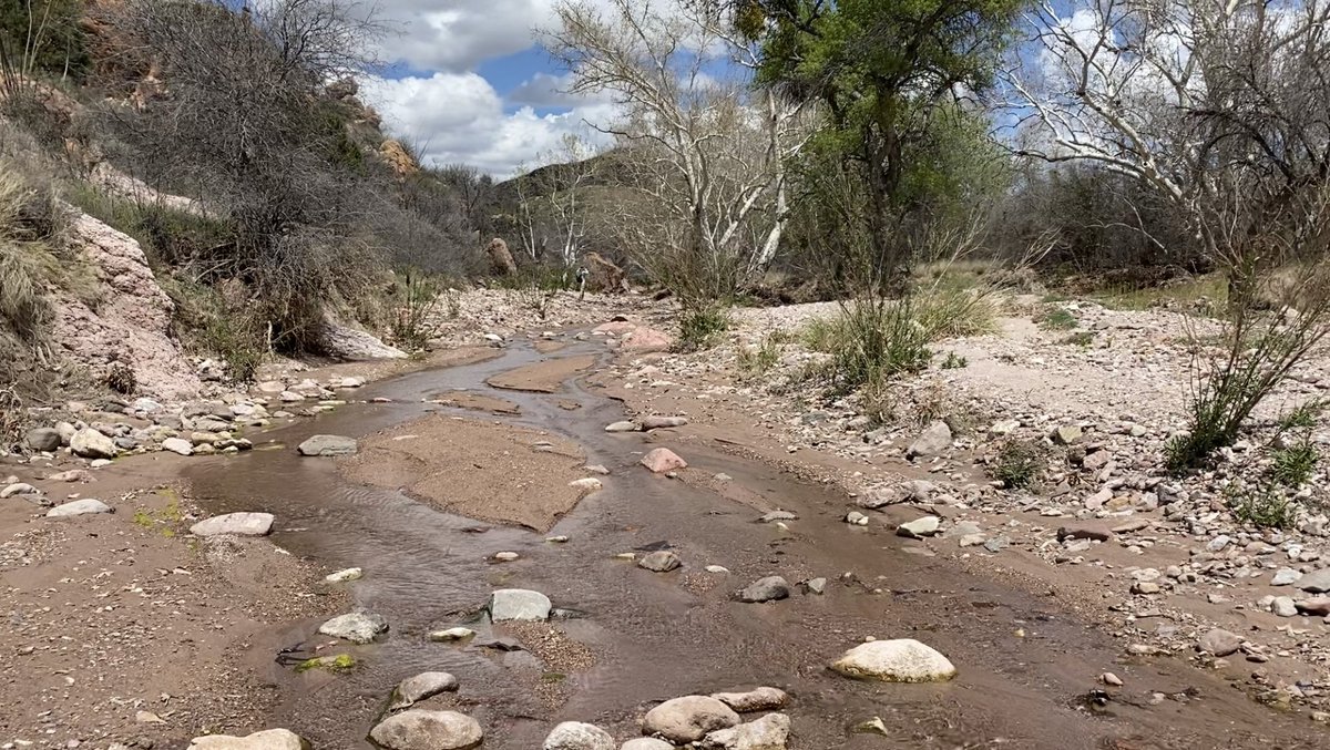 Laiken Jordahl tweet media