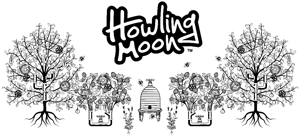 HowlingCider's tweet image. 📨 Free Shipping! - mailchi.mp/32a94813a806/t…