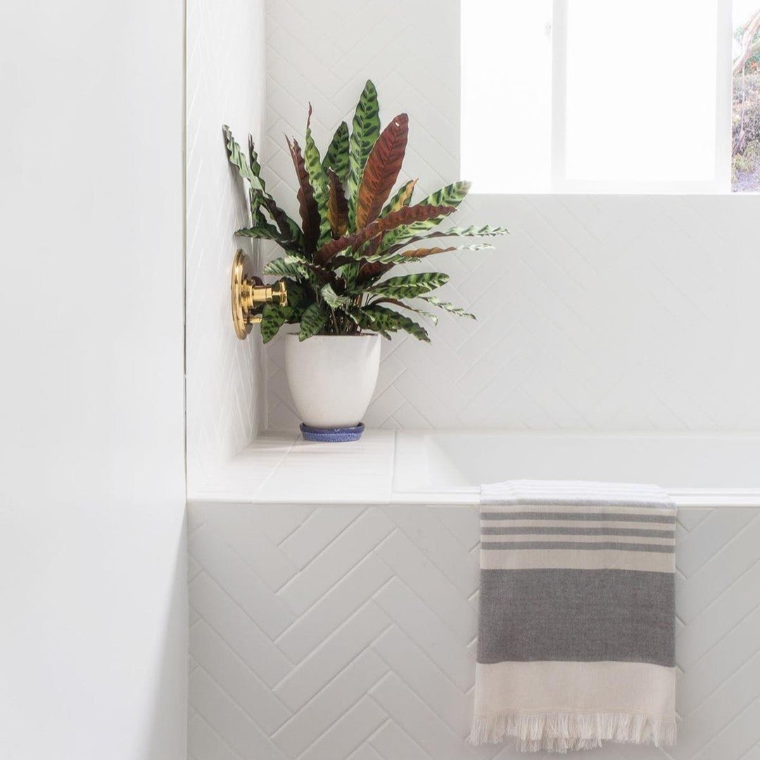 Daltile's tweet photo. We're feeling refreshed just looking at this brilliant white #bathroom - made all the more striking by the contrasting gold dial and colorful foliage.
#daltile #design

📷: Instagram user nine_dot_design featuring Color Wheel Classic in Arctic White https://t.co/oBte1FqXDl