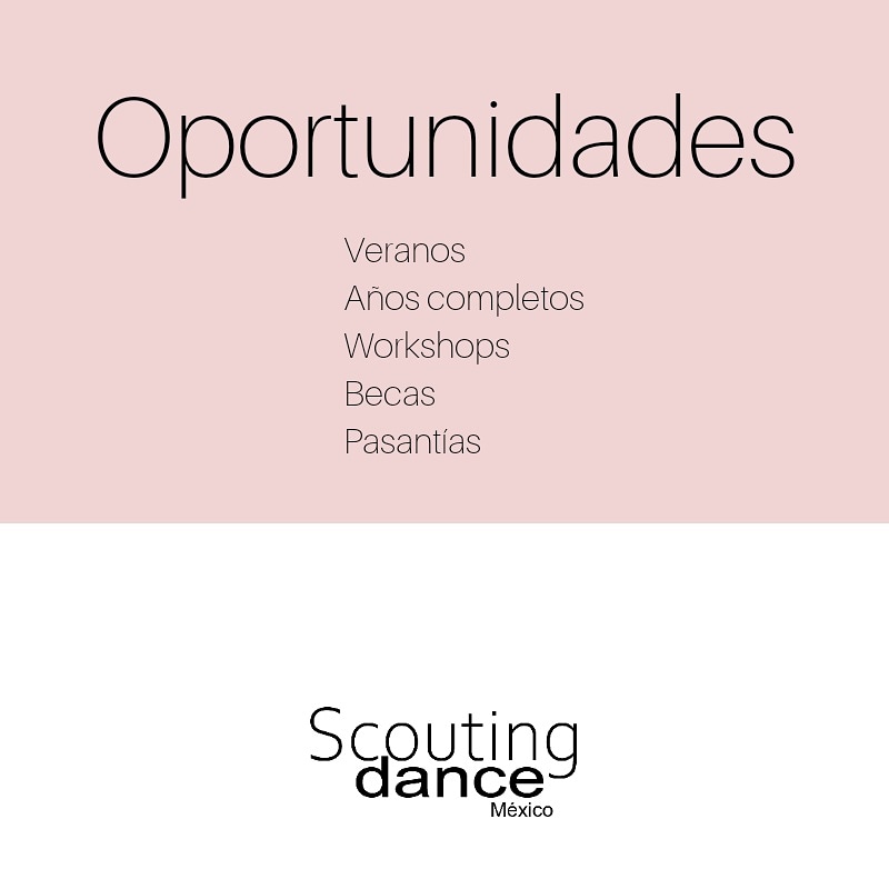 Scoutingdance tweet media