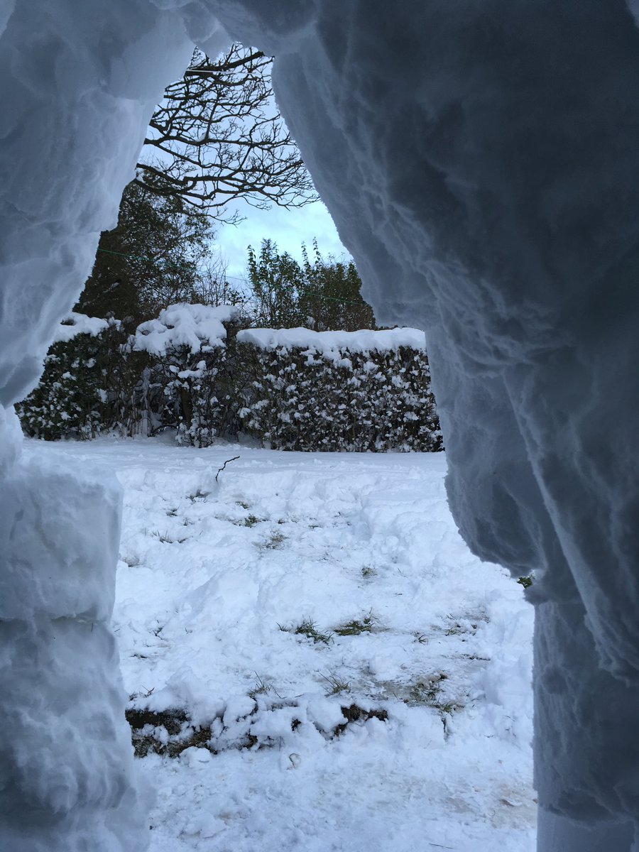 Mark Scott tweet media