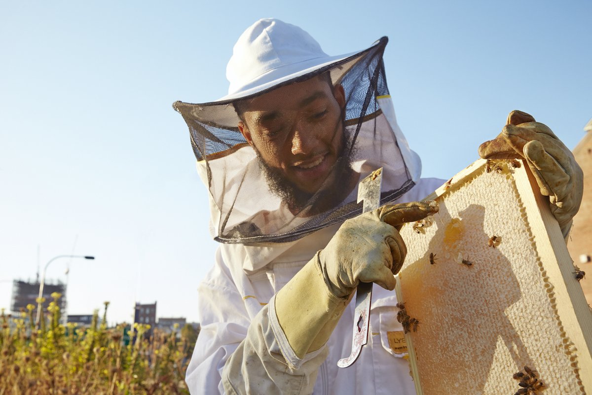 The Best Bees Company tweet media