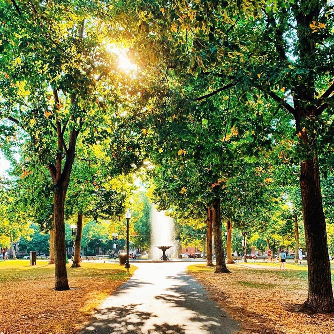 ColumbusandOver's tweet photo. Leaves are starting to fall in Blackstone &amp; Franklin Square, home to two large squares that make up 5 acres of the parks in the #SouthEnd. Buildings here used to be #institutional, so they are larger than most South End #brownstones. You can get a lot of bang for your buck here! https://t.co/bVf4p6p34E