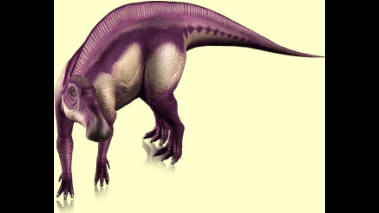 “Indosuchus, Saurolophus, Amargasaurus, Maiasaurus” .