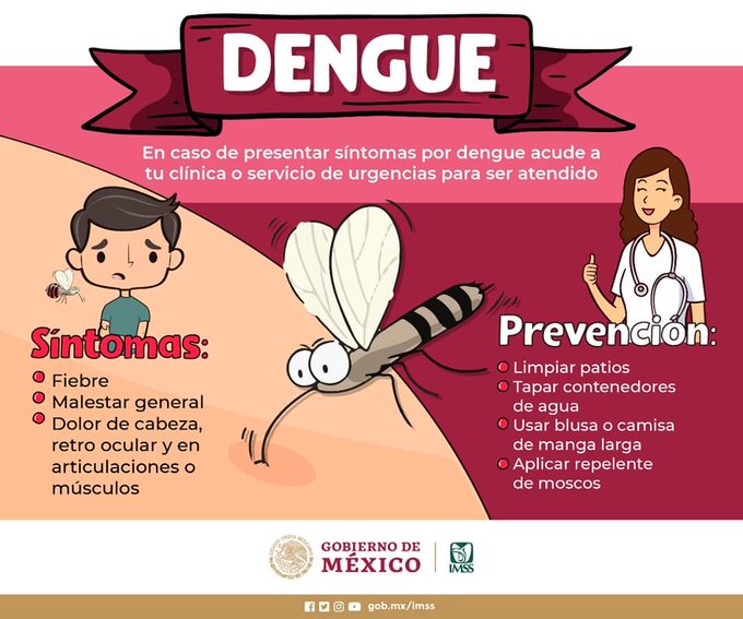 coatzagob's tweet photo. #Dengue #Prevención #Coatzacoalcos #ConoceLosSíntomas🦟⬇⚕

Si presentas algunos síntomas de estos ⬇ te recomendamos acudir a tu centro médico más cercano para ser atendido. 

Y recuerda, sigue todas las recomendaciones para erradicar los criaderos de vectores. https://t.co/YAOLUJKAMl