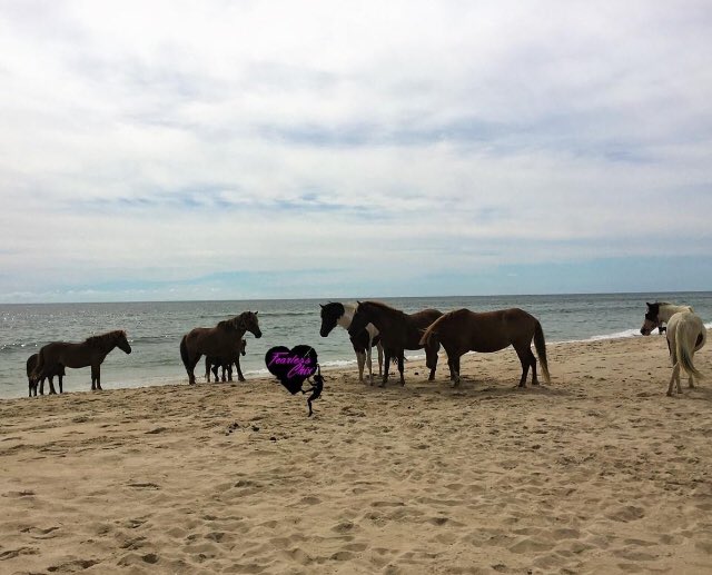 FearlessChix's tweet photo. It’s important to unplug and recharge. 
#beach #camping #beachlife https://t.co/CYhscqIX0e