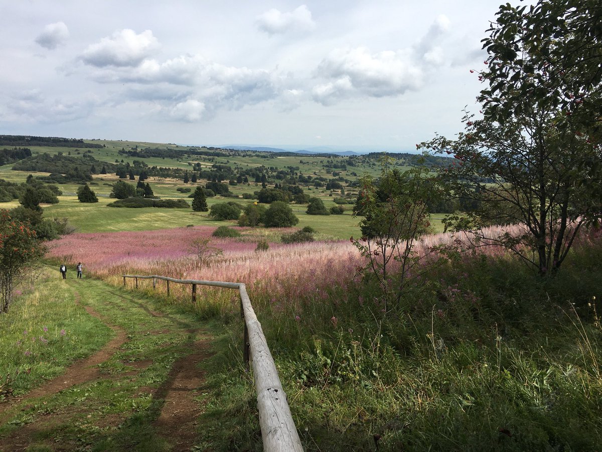 NaturfreundeBV's tweet photo. Die #Extratour Hochrhöntour gehört zu meinen Lieblingstouren  in der #Rhön #wandern https://t.co/ECpnGAMypW