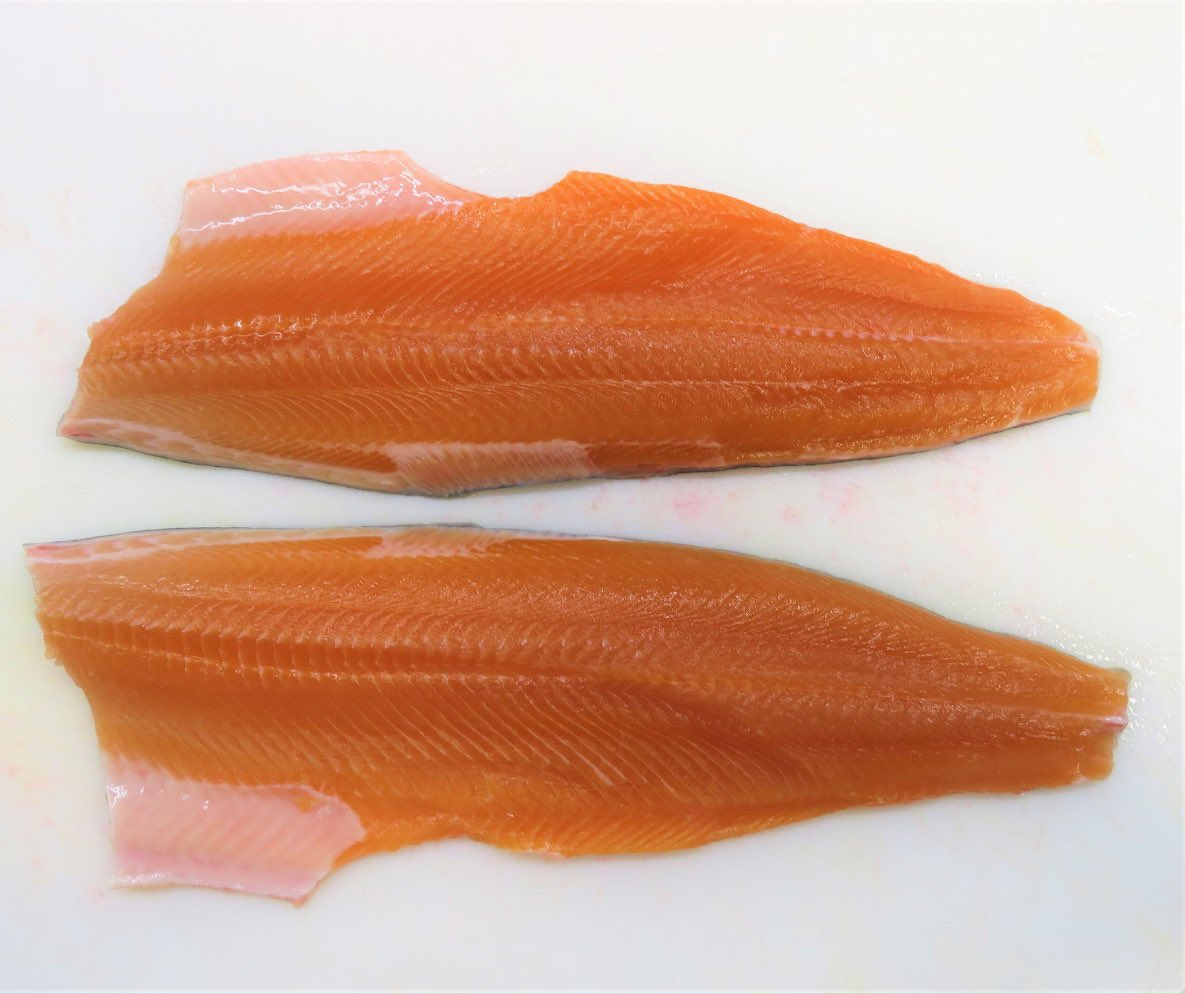 icywaterscharr's tweet photo. Nothing better than #fresh #arcticchar #fillets!!!! Share your recipes ideas with us. How do you like to prepare your fish?
#aquaculture #canada #arcticcharr #fishfarm #whitehorse #fish #freshwater #yukon #sustainability #fish https://t.co/IfZdOFmsuv