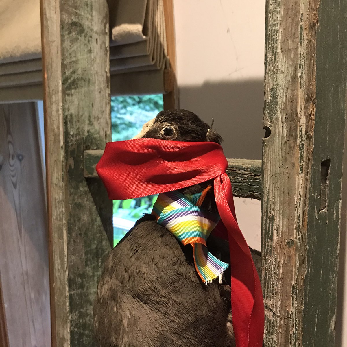 Cranbrook Iron tweet media