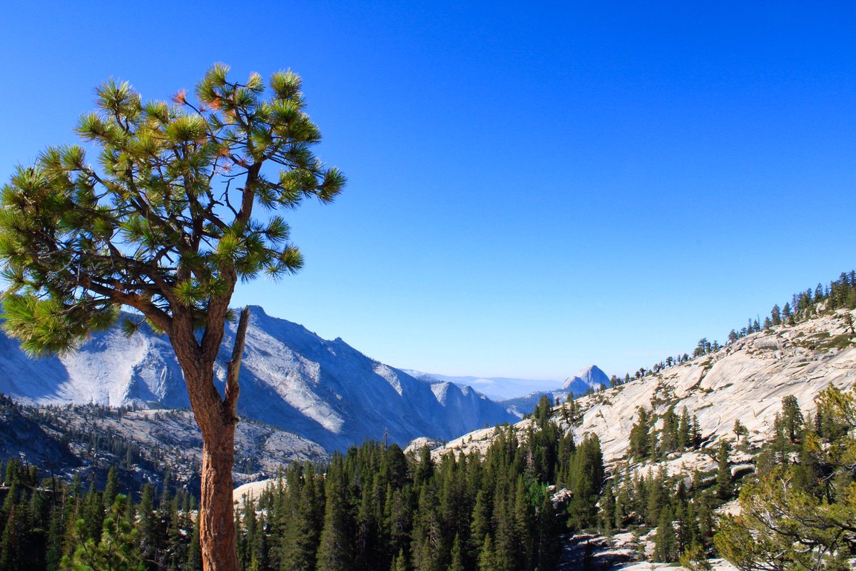 Drizzy_Drake222's tweet photo. Unreal. The only word to describe Yosemite. 9.3.20 https://t.co/7Su7KahZsk