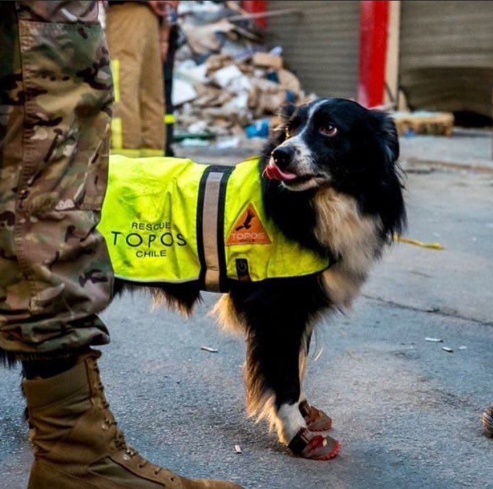 Charbel Khalil tweet media