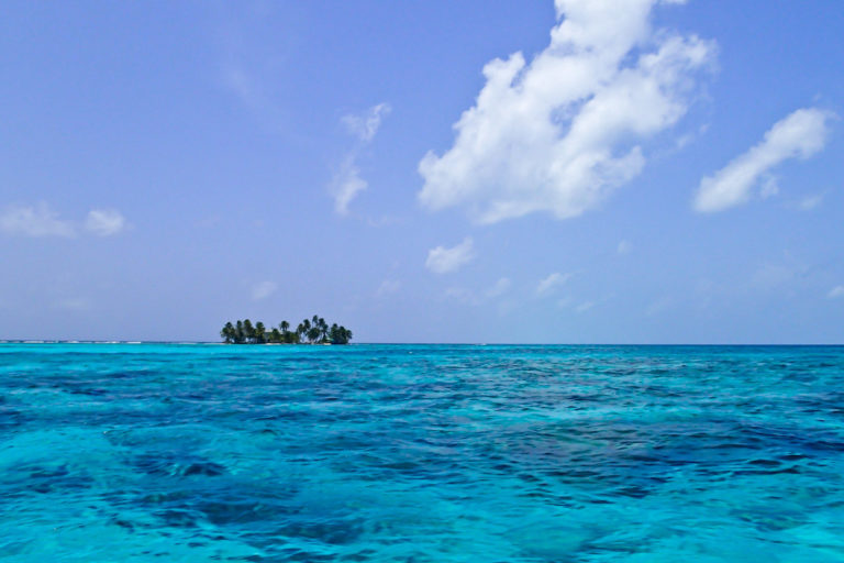 Belize made two big decisions for ocean protection: it expanded an existing marine reserve and initiated the process of establishing a nationwide ban on gillnet fishing. Read how Belize is leading the way to #30by30: news.mongabay.com/2020/08/belize…