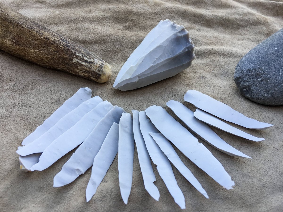 ancientcraftUK's tweet photo. Laminar blade production is an effective way of maximising the available raw material with a high ratio of straight, sharp edges per kg of flint. Its a technique that appears around the start of the Upper Palaeolithic in Europe &amp; continues into the early Neolithic  #flintfriday https://t.co/aANKyNpkSD