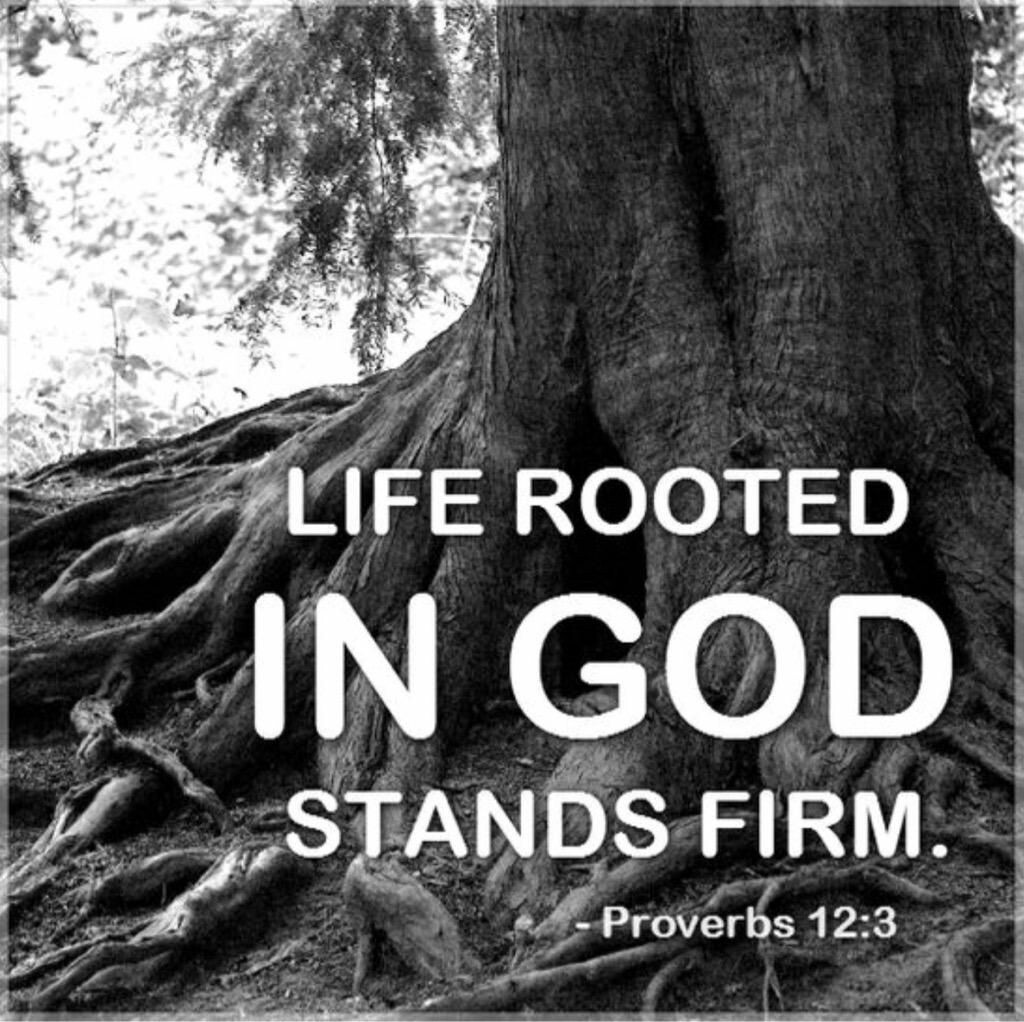 NehaChugh1981's tweet photo. #God #DailyThought #Divinejustice https://t.co/uqeb7gTlPa