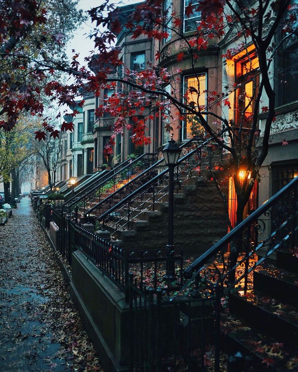 ebubekiryaman's tweet photo. Autumn in New York  ....  🍁😍💓

📸 : samhorine https://t.co/RFIKSfalR4