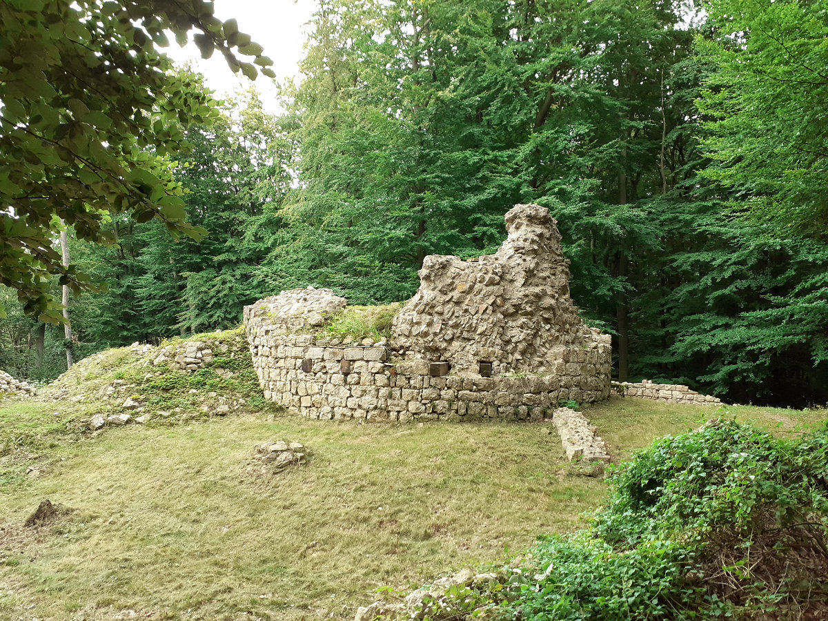 burgried's tweet photo. We're back again! With dragons and snakes! And plenty of scrub bashing, back-filling and lots of inspiring new ideas for this beautiful old place! 🐍🦎🕷️🌿 #heritage #preservation #volunteering #scrubbashing #dosomethingood https://t.co/ThXJ05l7SJ