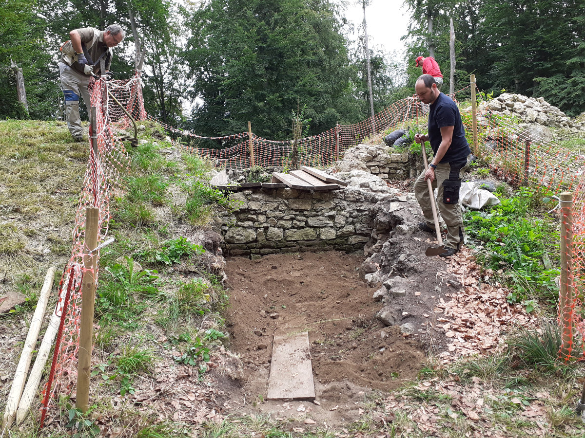 burgried's tweet photo. We're back again! With dragons and snakes! And plenty of scrub bashing, back-filling and lots of inspiring new ideas for this beautiful old place! 🐍🦎🕷️🌿 #heritage #preservation #volunteering #scrubbashing #dosomethingood https://t.co/ThXJ05l7SJ