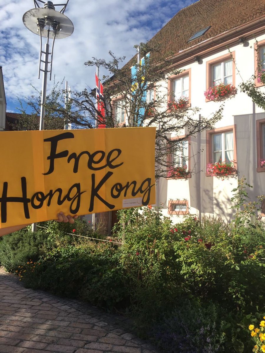 德國Furtwangen。 #FridaysForFreedom #FreeHongKong #FreeSouthernMongolia #FreeUyghurs #FreeChina