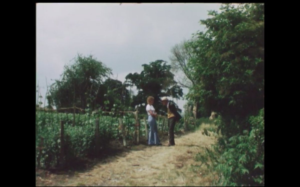 Dr Daniel Fountain tweet media