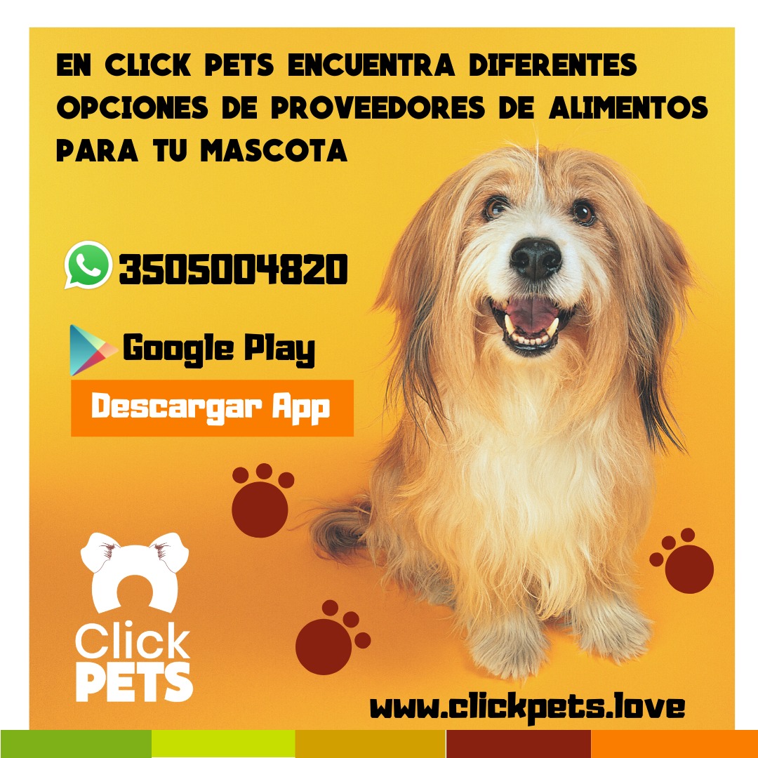 ClickPets2 tweet picture