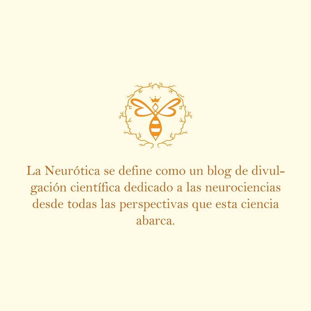NeuroticaBlog's tweet photo. https://t.co/AVq4fmMh6p