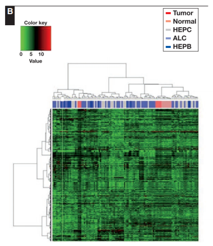 Andrew Bellizzi 🇺🇦 (@ihc_guy) on Twitter photo I'm not sure what any of this means, but I am sure that it's pretty darn important😉
Kudos to Dr. Van Treeck for his #stellar work on this.
pubmed.ncbi.nlm.nih.gov/32885245/
<a href="/stephen_lagana/">stephen lagana</a> <a href="/rondell_graham/">Rondell Graham</a> <a href="/MayoClinicPath/">Mayo Clinic Pathology</a> <a href="/ClevelandClinic/">Cleveland Clinic</a> <a href="/UIPathology/">University of Iowa Pathology</a> <a href="/ColumbiaPath/">Columbia Pathology</a> <a href="/AJCPjournal/">AJCP</a> I'm not sure what any of this means, but I am sure that it's pretty darn important😉
Kudos to Dr. Van Treeck for his #stellar work on this.
pubmed.ncbi.nlm.nih.gov/32885245/
<a href="/stephen_lagana/">stephen lagana</a> <a href="/rondell_graham/">Rondell Graham</a> <a href="/MayoClinicPath/">Mayo Clinic Pathology</a> <a href="/ClevelandClinic/">Cleveland Clinic</a> <a href="/UIPathology/">University of Iowa Pathology</a> <a href="/ColumbiaPath/">Columbia Pathology</a> <a href="/AJCPjournal/">AJCP</a>