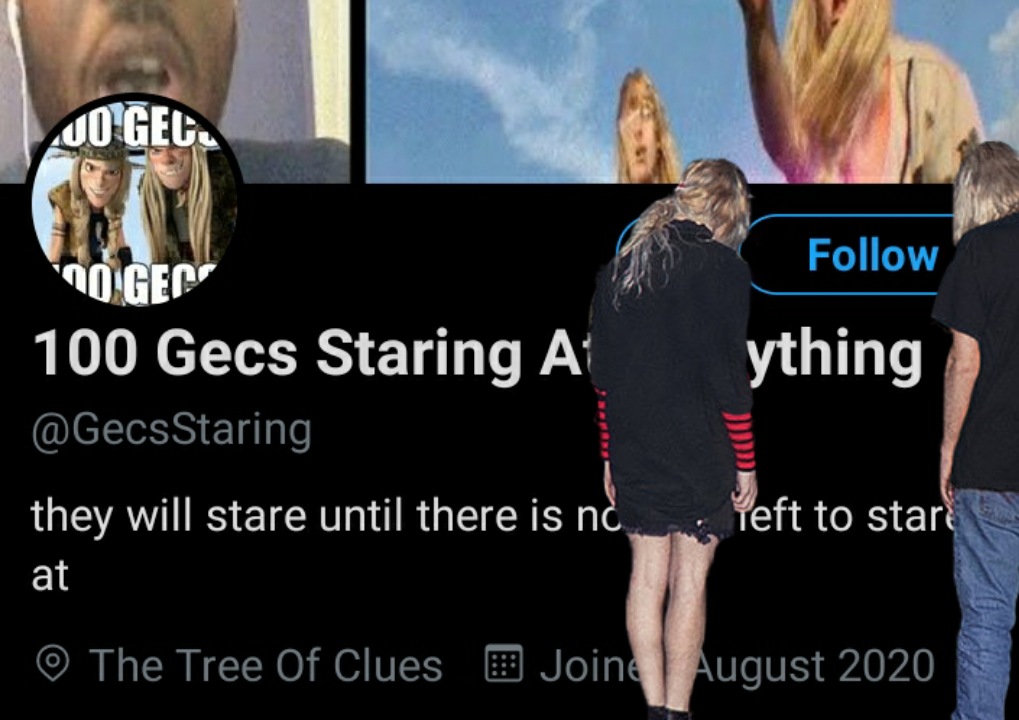 GecsStaring's tweet photo. gecs waiting for you to follow. https://t.co/hbb44ZVGdW