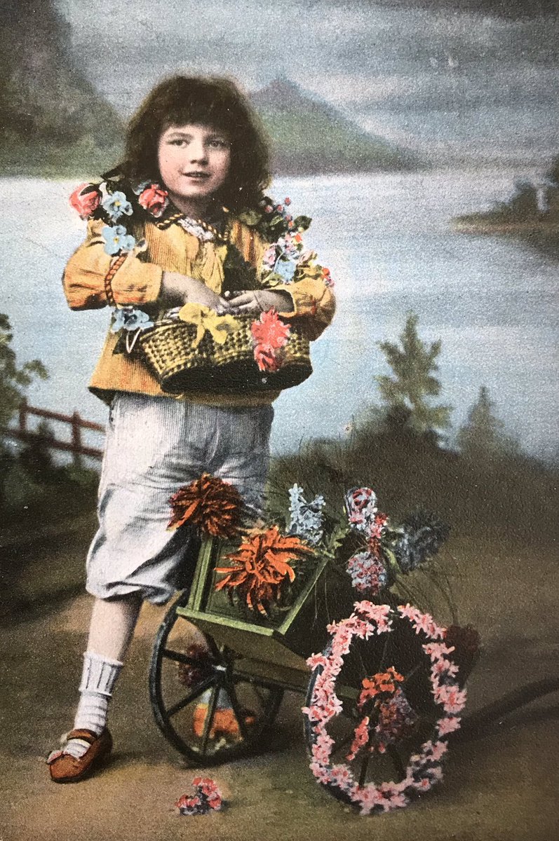 Postcard Peek tweet media