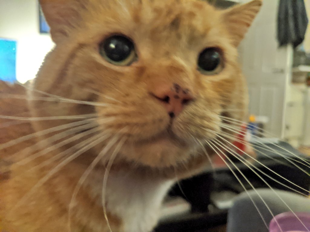 CCAN I INTEREST YUO IN A KISS KISS