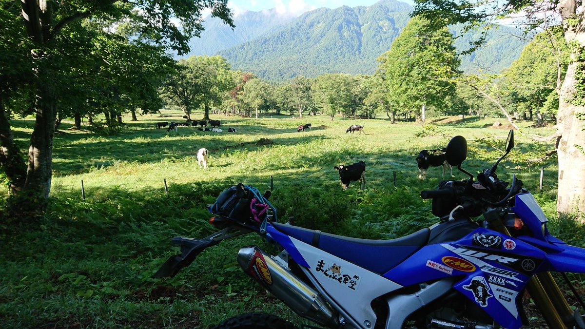 笹ヶ峰牧場 笹ヶ峰牧場