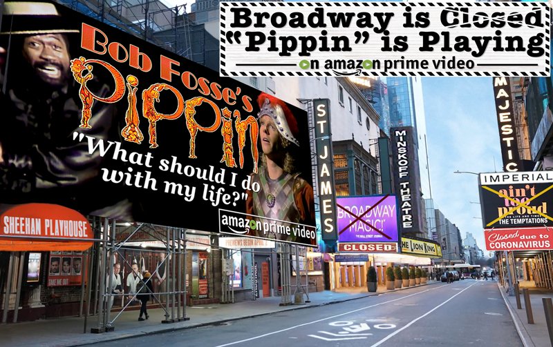 David Sheehan tweet media