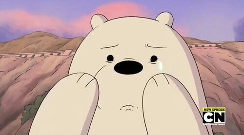 🐻