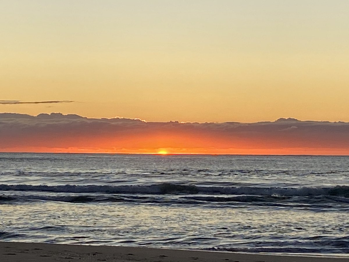 Spring Mornings practice series with Caroline Coggins

- 8th to 11th September
- 8am to 9.15am Tuesday to Friday

Info and to book: yogacentre.com.au/upcoming_event…