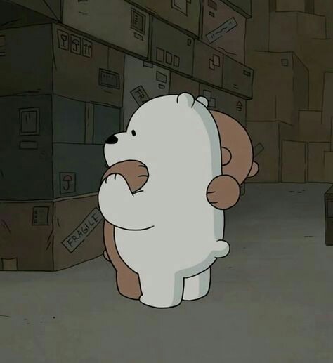 🐻