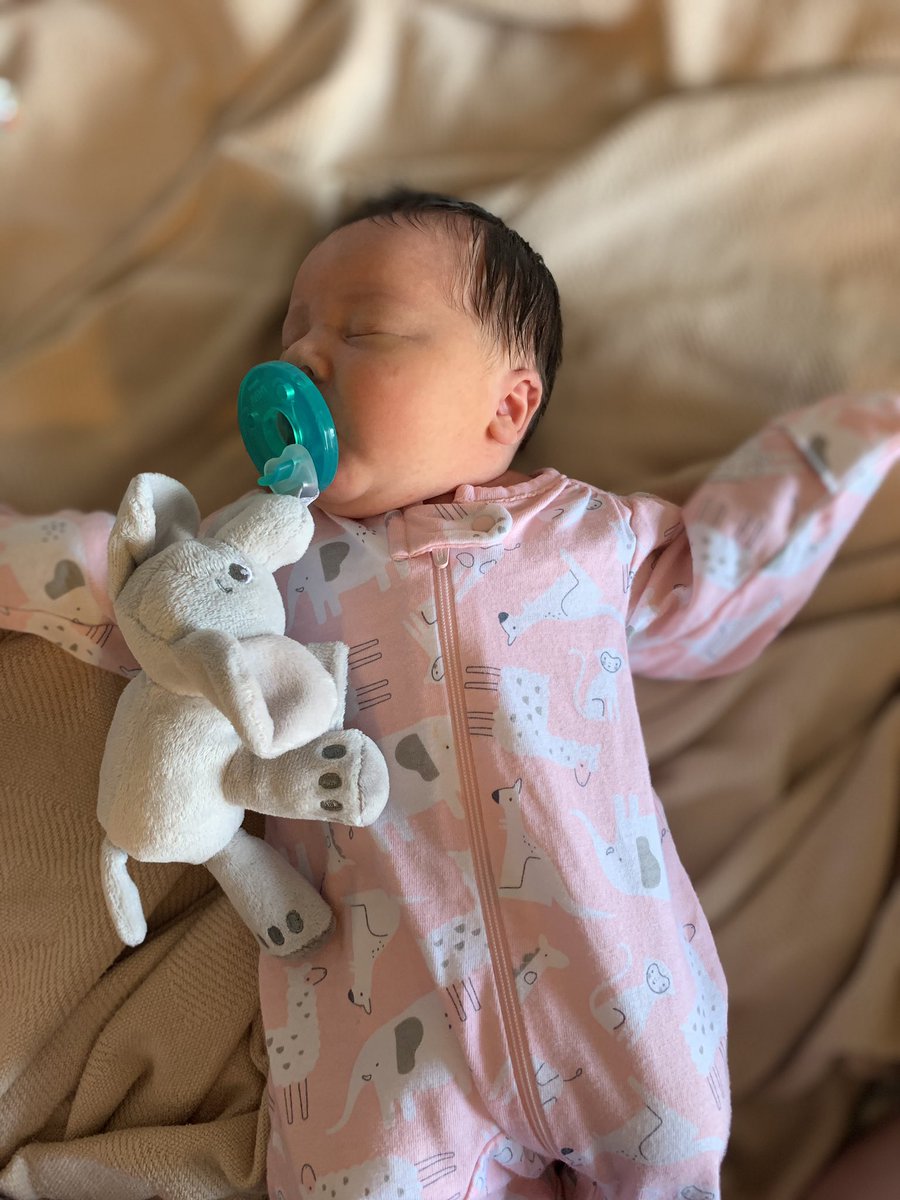 JordanHaga's tweet photo. Mommy and daddy’s whole world 🥰💙💖 https://t.co/5e5IRJtinf