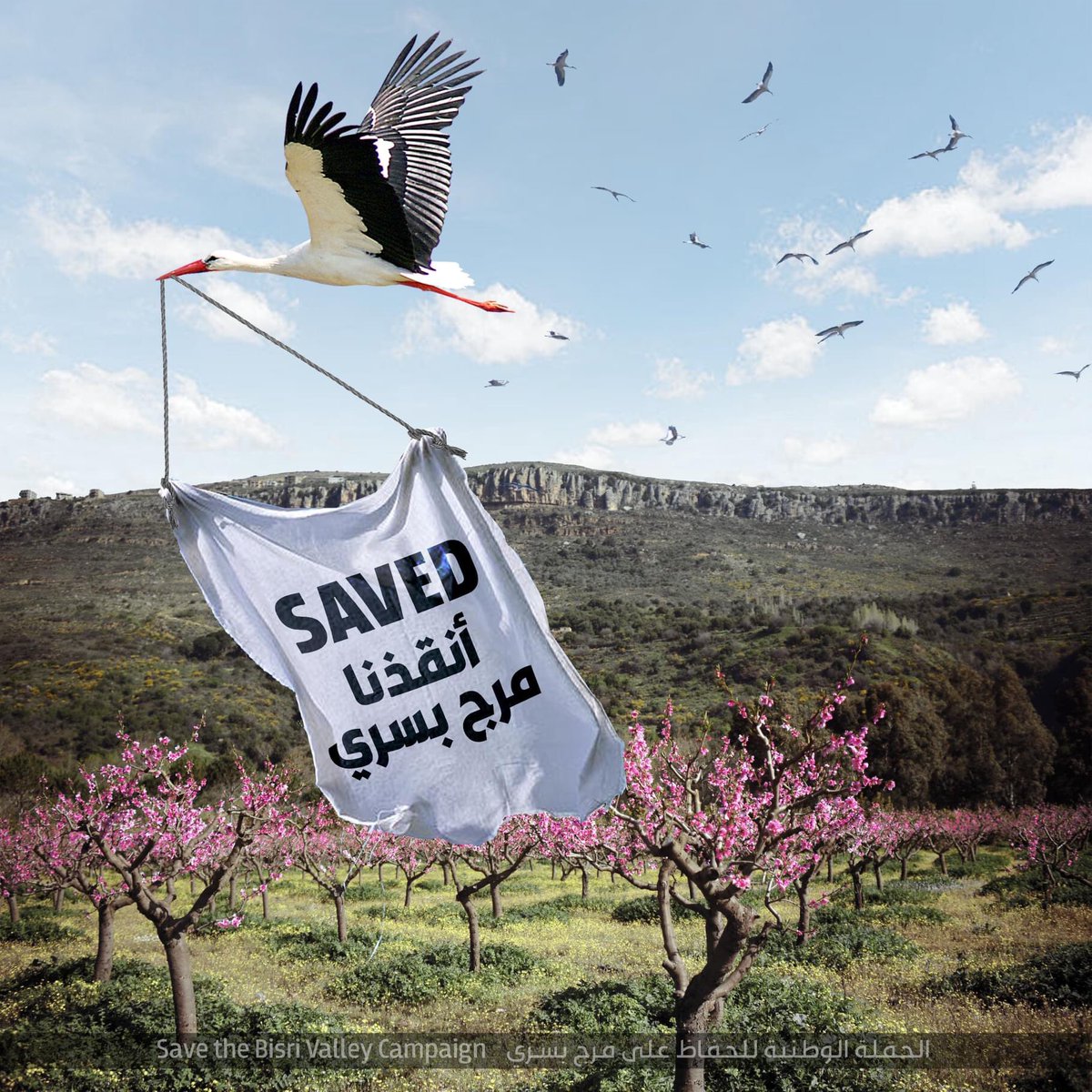 rfares57's tweet photo. سقوط صفقة #سد_بسري ، مبروك للبنانيين، مبروك ل #لبنان  ✌🏻
نعم لتحويل #مرج_بسري محمية طبيعية 🙏🏻❤️🇱🇧❤️ #بيروت #بسري https://t.co/WdFeDSj3lw