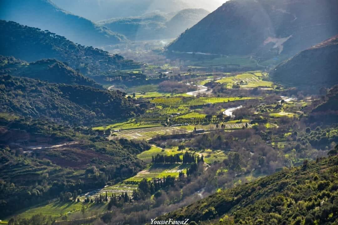 rfares57's tweet photo. سقوط صفقة #سد_بسري ، مبروك للبنانيين، مبروك ل #لبنان  ✌🏻
نعم لتحويل #مرج_بسري محمية طبيعية 🙏🏻❤️🇱🇧❤️ #بيروت #بسري https://t.co/WdFeDSj3lw