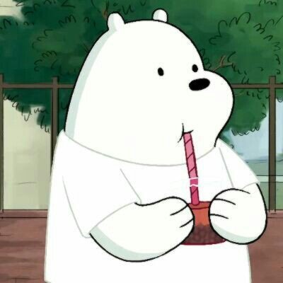 🐻