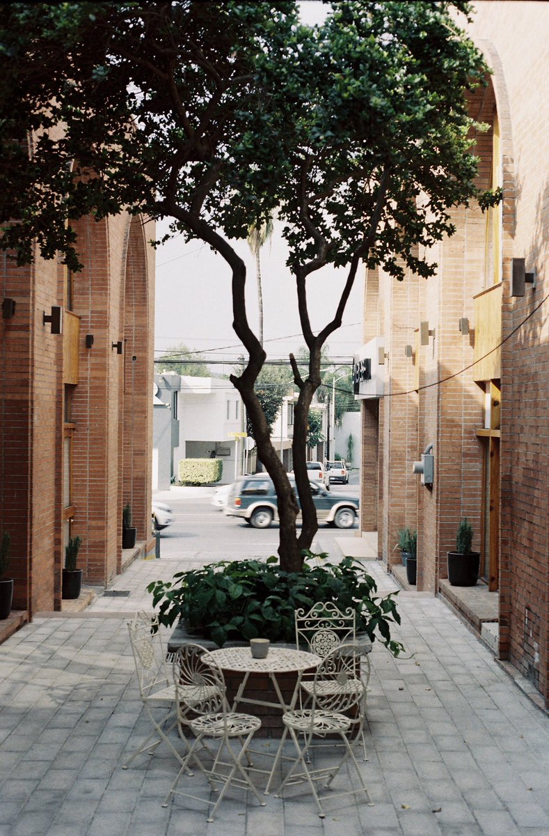 Primera del rollo. #kodak200 #filmisnotdead #35mm #analog