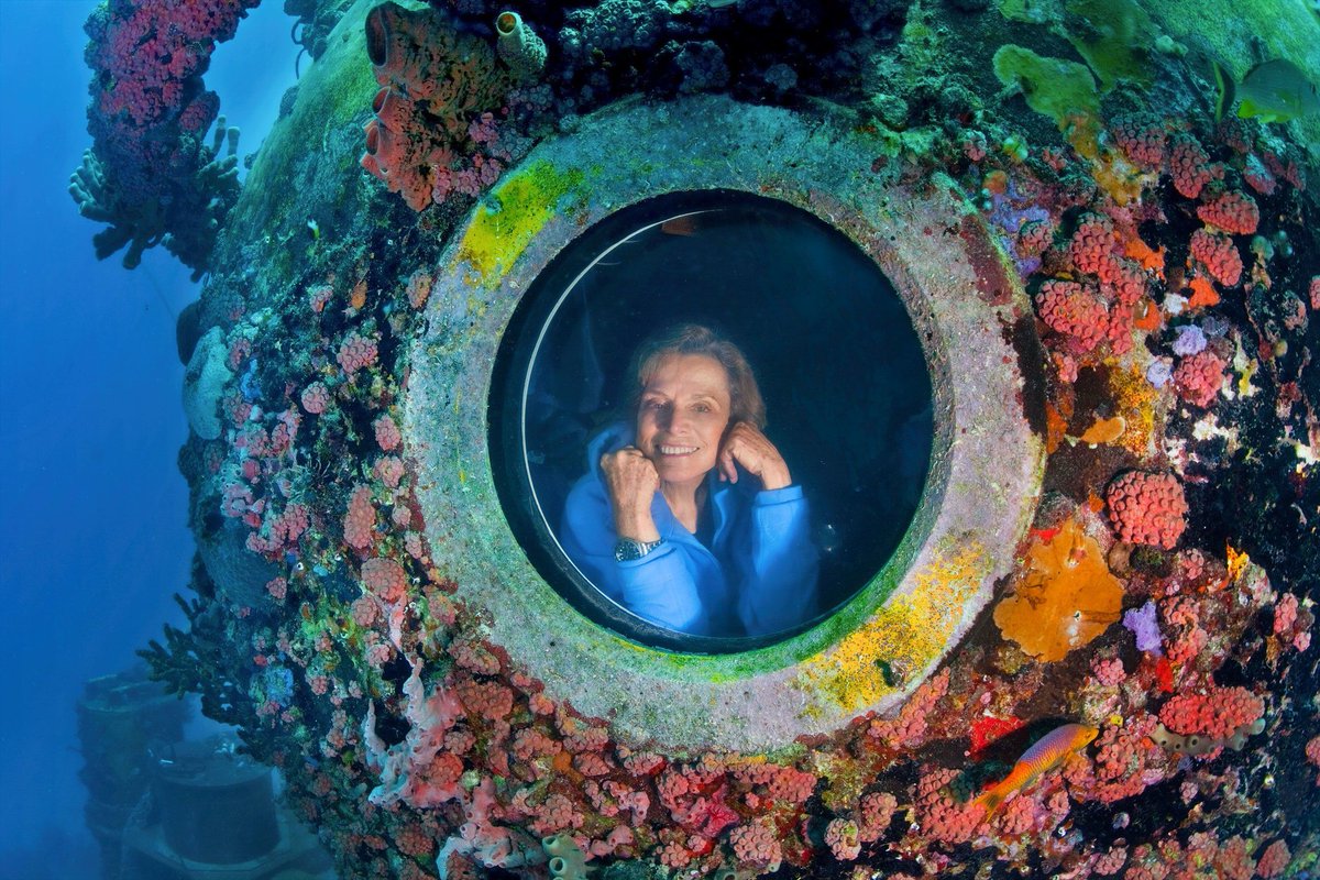 SylviaEarle's tweet photo. On ten separate occasions, I was fortunate enough to live underwater. Spending so much time underwater led to a breakthrough: I got to know fish as individuals. They do not behave the same. They each have their own attitude. https://t.co/5kq2xZdqmA