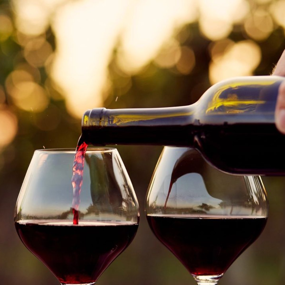 We hope everyone's Labor Day weekend is full of good food, good times, and a great glass of Spanish red.
