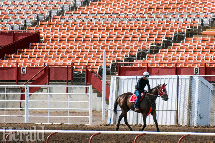 Horse racing returns - Rocky Mountain Turf Club set to begin horse racing action with fall schedule starting this weekend
@DWoodardHerald reports w/ <a href="/IMartensHerald/">Ian Martens</a> photos
lethbridgeherald.com/sports/lethbri… #yql <a href="/rmtcracing/">Rocky Mtn. Turf Club</a> <a href="/thehorsesab/">Horse Racing Alberta</a>