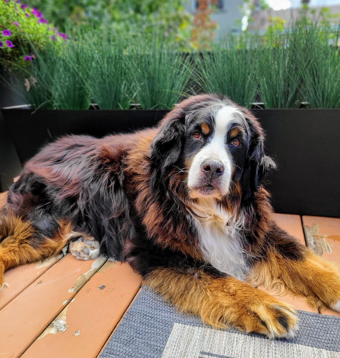 MTL WINE GUY🍷🇮🇹 tweet media