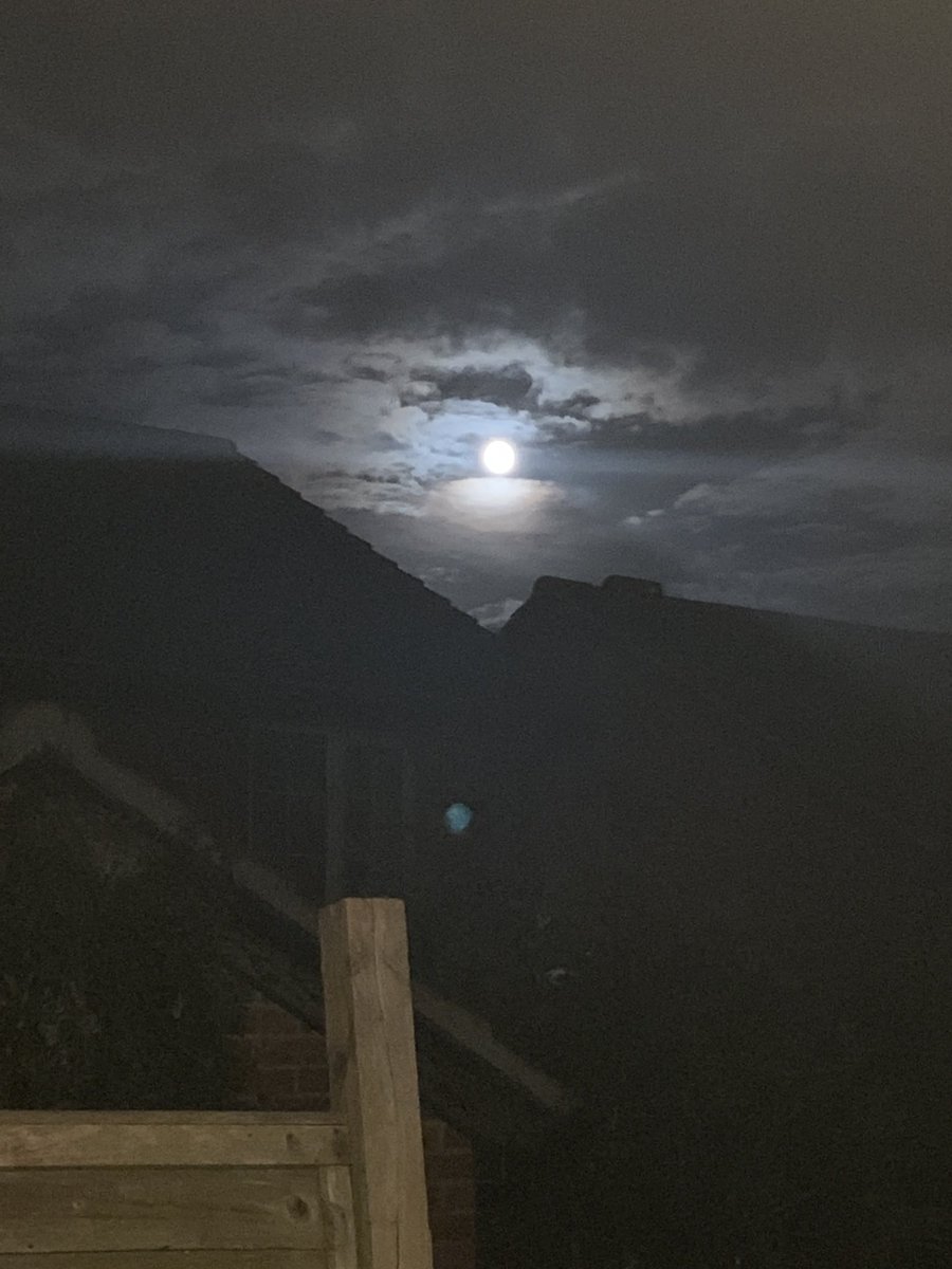 Vicks_Eliza's tweet photo. #Aboutlastnight #lookingup https://t.co/CjTUFLspX6